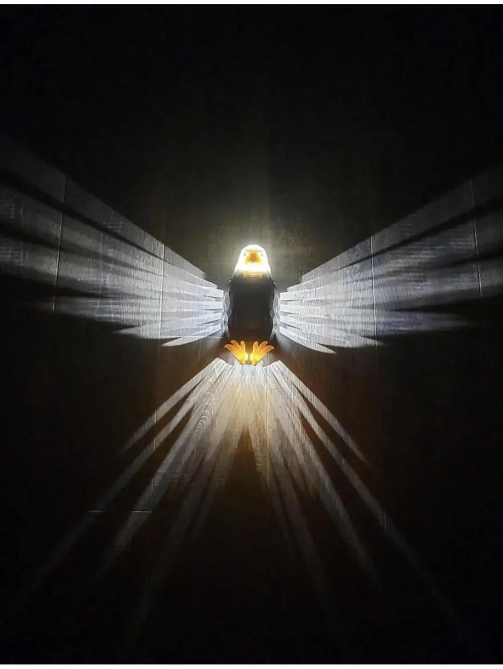 Bald American Eagle Wall Light with Remote Control Magnetic Wall Night Lamp